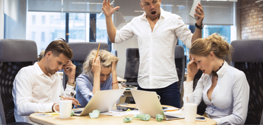 Why Understanding Company Culture Matters in Your Job Hunt